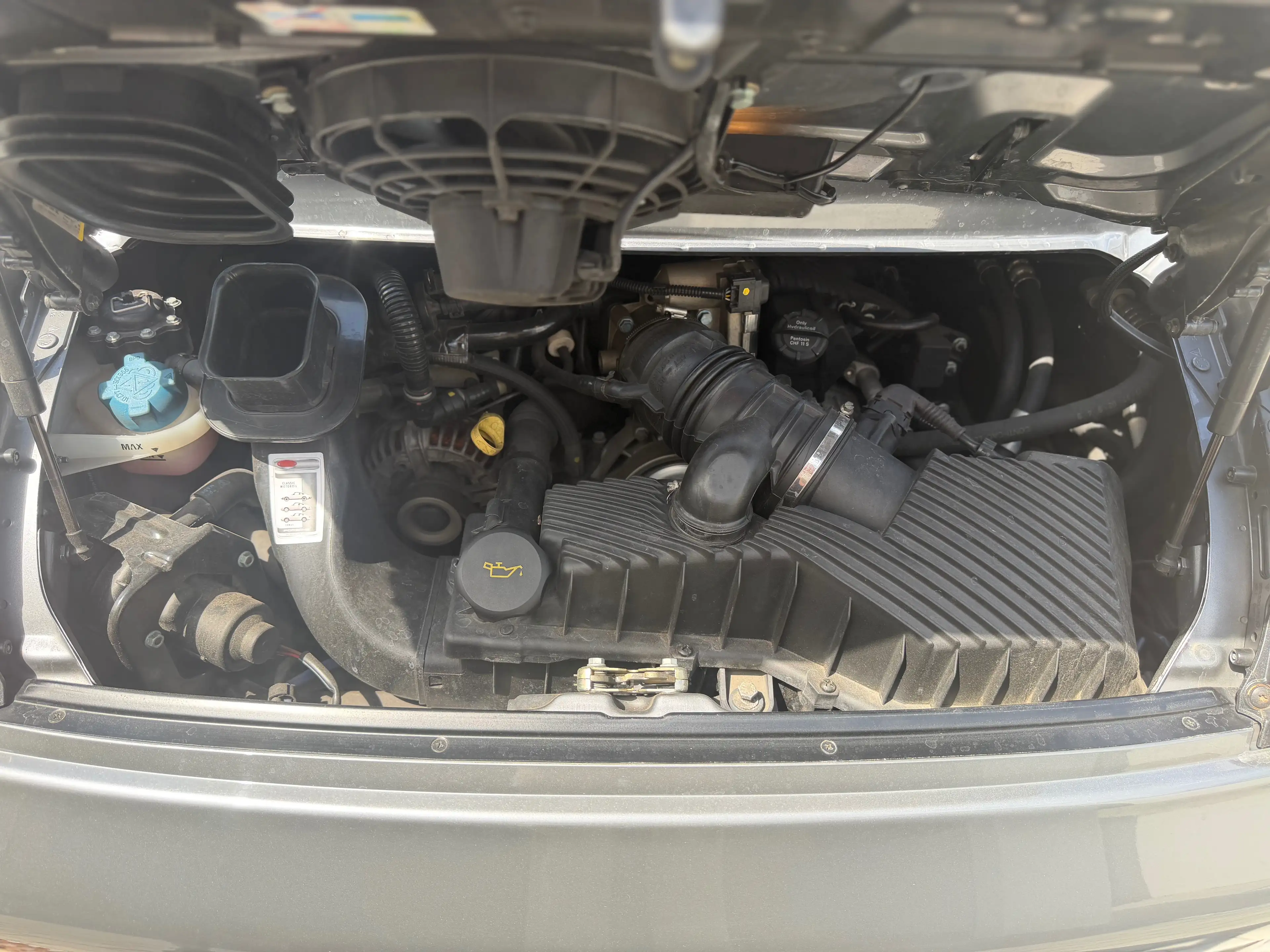 Porsche 996 Carrera Coupe — photo 22