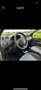 Fiat Punto 5p 1.3 mjt 16v Active - thumbnail 6
