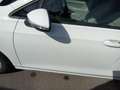 Volkswagen Golf 1.0 eTSI Life DSG 81kW Blanco - thumbnail 14