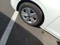 Volkswagen Golf 1.0 eTSI Life DSG 81kW Blanco - thumbnail 13