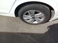 Volkswagen Golf 1.0 eTSI Life DSG 81kW Blanco - thumbnail 17