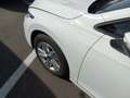 Volkswagen Golf 1.0 eTSI Life DSG 81kW Blanco - thumbnail 12