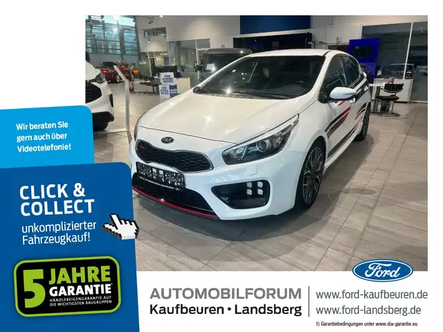 Kia Ceed / cee'd Ceed 1.6 T-GDi GT-Track Navi SHZ KlimaA Kam.