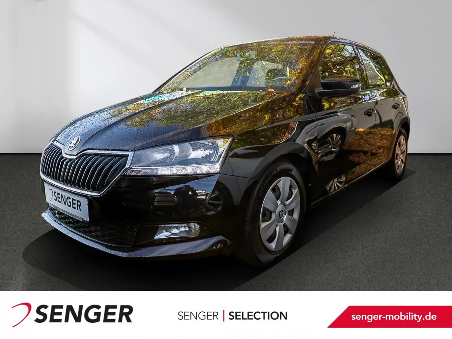 Skoda Fabia 1.0 TSI Ambition DSG Klima SHZ Bluetooth Negro - 1