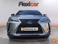 Lexus UX 250h 2.0+250h+Business Gris - thumbnail 9