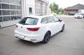 SEAT Leon ST 2.0 TDI DSG Xcellence mit Sportpaket Weiß - thumbnail 5
