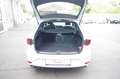 SEAT Leon ST 2.0 TDI DSG Xcellence mit Sportpaket Weiß - thumbnail 13
