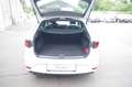 SEAT Leon ST 2.0 TDI DSG Xcellence mit Sportpaket Weiß - thumbnail 12