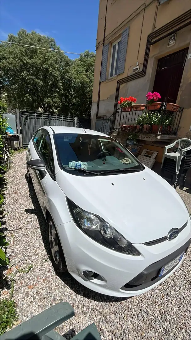Ford Fiesta Bianco - 1