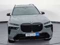 BMW X7 M60i xDrive Navi Leder Tempom.aktiv Panoramad Gris - thumbnail 7