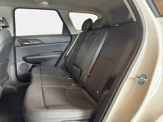 Kia Ev5 view 10