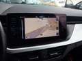 Skoda Kamiq 1.0 TSI DSG7 Gris - thumbnail 12