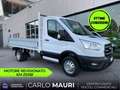 Ford Transit 350 con Cassone Fisso - Euro 6d Weiß - thumbnail 1