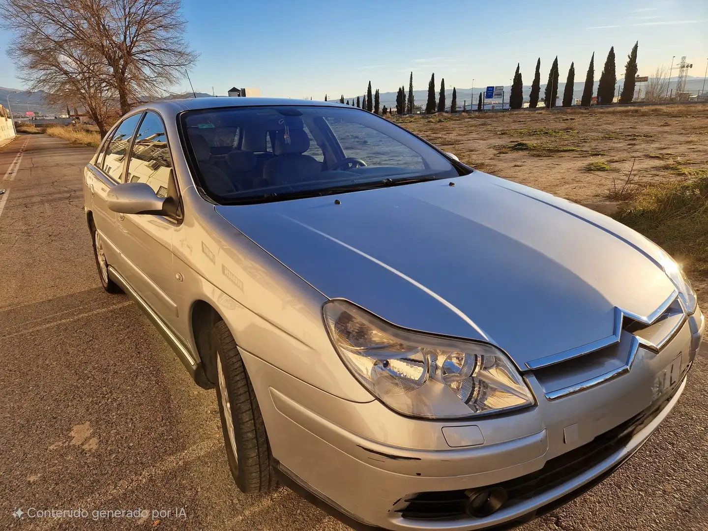 Citroen C5 C5 2.0HDI Premier Premier Plateado - 2