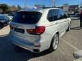 BMW X5 xDrive30d 258CV M SPORT TETTO Argento - thumbnail 3