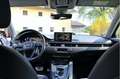 Audi A4 A4 Avant 2,0 TDI S-tronic Weiß - thumbnail 12