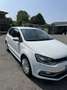 Volkswagen Polo 5p 1.0 mpi Fresh 75cv Bianco - thumbnail 3