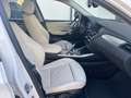 BMW X4 xDrive20d xLine PELLE NAVI XENO RETROCAMERA Bianco - thumbnail 7