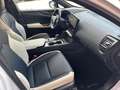 Lexus NX 350h Executive Line,NAVI,LEDER,360°KAMERA,LED Blanc - thumbnail 12