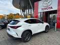 Lexus NX 350h Executive Line,NAVI,LEDER,360°KAMERA,LED Blanc - thumbnail 5