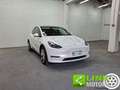 Tesla Model Y Long Range AWD GARANZIA TESLA Bianco - thumbnail 3