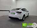 Tesla Model Y Long Range AWD GARANZIA TESLA Bianco - thumbnail 13