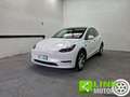 Tesla Model Y Long Range AWD GARANZIA TESLA Bianco - thumbnail 1