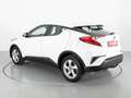 Toyota C-HR HYBRID AUTOMATICO ACTIVE 1.8 Blanc - thumbnail 8