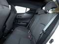 Toyota C-HR HYBRID AUTOMATICO ACTIVE 1.8 Blanc - thumbnail 11