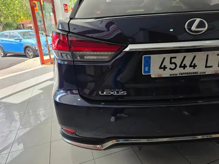 Lexus RX450h EXECUTIVE 2021, foto 18