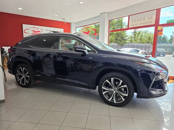 Lexus RX450h EXECUTIVE 2021, foto 8