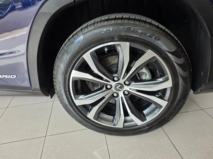 Lexus RX450h EXECUTIVE 2021, foto 16