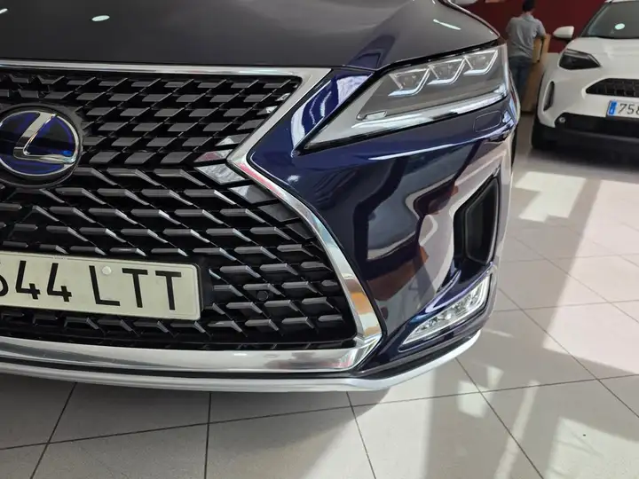 Lexus RX450h EXECUTIVE 2021, foto 12