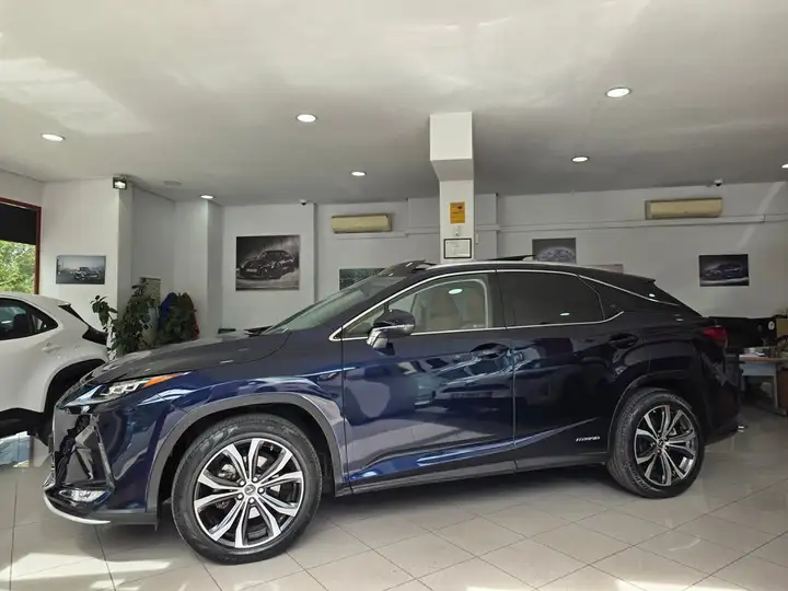 Lexus RX450h EXECUTIVE 2021, foto 4