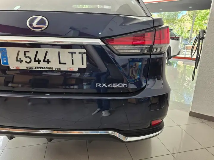 Lexus RX450h EXECUTIVE 2021, foto 20