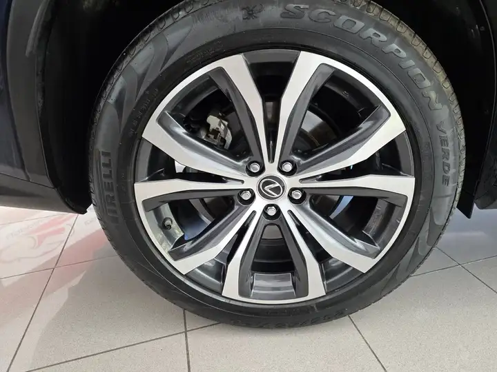 Lexus RX450h EXECUTIVE 2021, foto 21