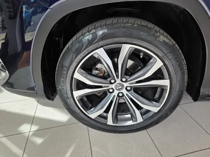 Lexus RX450h EXECUTIVE 2021, foto 13