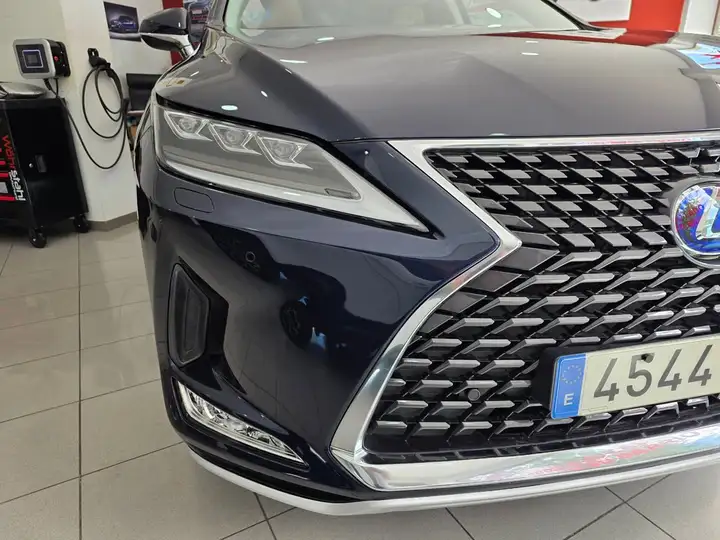 Lexus RX450h EXECUTIVE 2021, foto 10