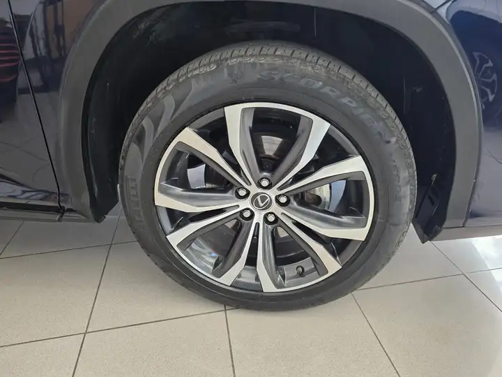 Lexus RX450h EXECUTIVE 2021, foto 22