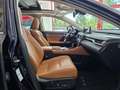 Lexus RX 450h Executive Azul - thumbnail 41