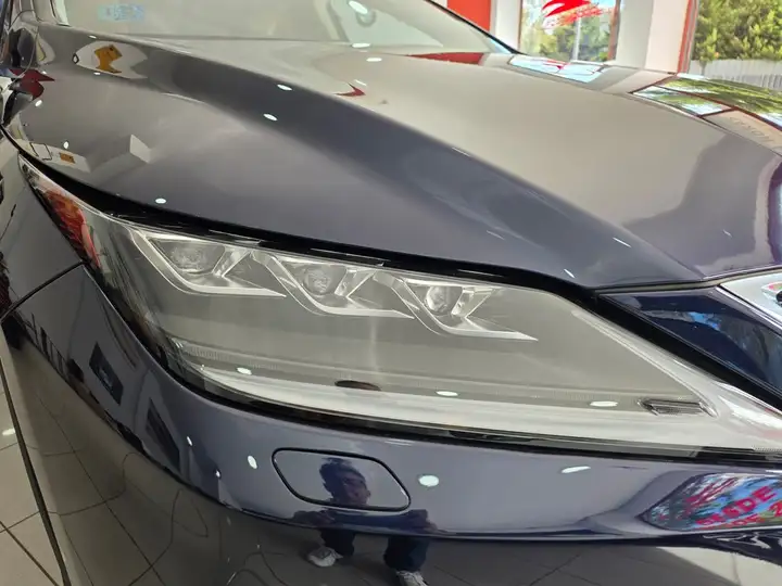 Lexus RX450h EXECUTIVE 2021, foto 9