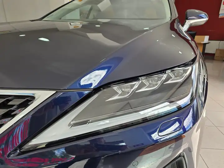 Lexus RX450h EXECUTIVE 2021, foto 11