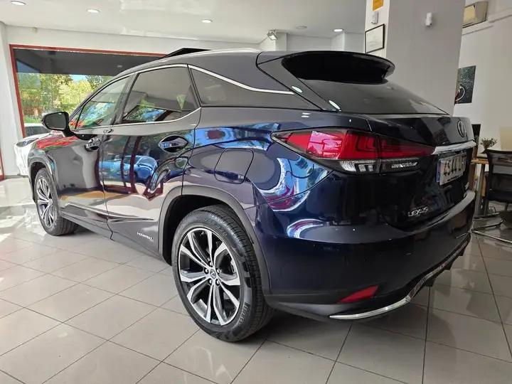 Lexus RX450h EXECUTIVE 2021, foto 5
