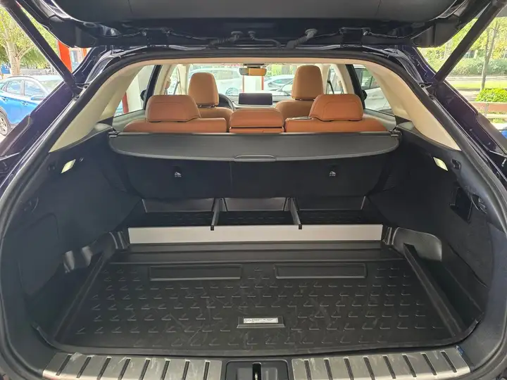 Lexus RX450h EXECUTIVE 2021, foto 25