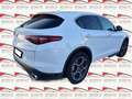 Alfa Romeo Stelvio 2.2 t Executive Q4 problemei meccanici Wit - thumbnail 4