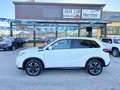 Suzuki Vitara " DA VETRINA "  Vitara II  1.4 hybrid  Top 2wd - thumbnail 10