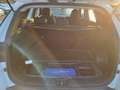 Hyundai TUCSON 1.6 CRDI 48V Maxx 4x2 Blanco - thumbnail 13