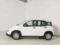 Fiat Panda 1.0 GSE Hybrid Weiß - thumbnail 5