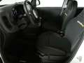 Fiat Panda 1.0 GSE Hybrid Weiß - thumbnail 9