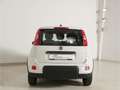 Fiat Panda 1.0 GSE Hybrid Weiß - thumbnail 6